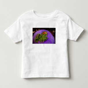Anemonefish and large anemone toddler t-shirt
