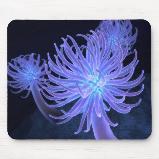 Anemones Mousepad (Front)