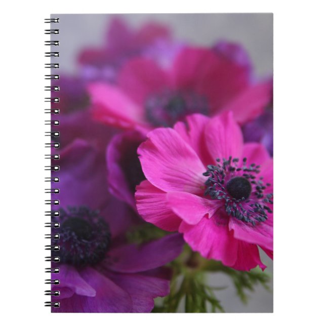 anemones notebook (Front)