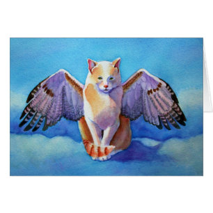 Ange Chat Red Tail Hawk