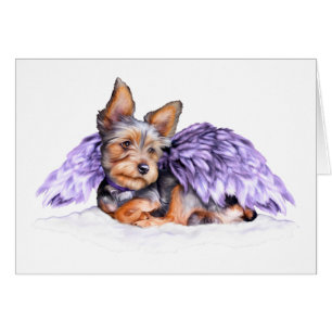Ange de Yorkshire Terrier Yorkie