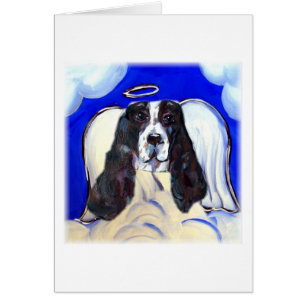 Ange English Springer Spaniel
