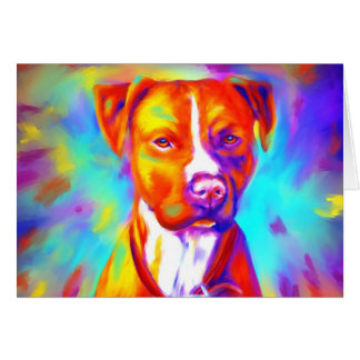 Ange funky - Pitbull