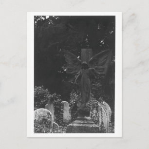 Ange Statue Vieux Cimetière Carte postale