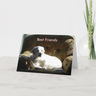 Angel 03212006, Best Friends Card