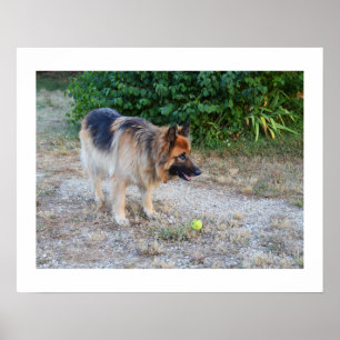 Angel and ball poster