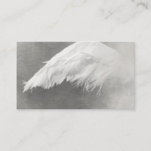 Angel Angels Wing Wings Cartes de visite Vintages
