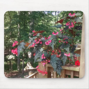 Angel Begonia with Woods in Background Mouse Pad