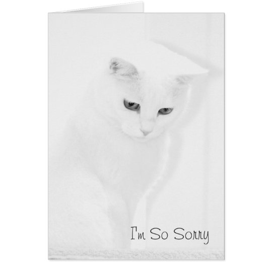 Angel Cat Sympathy Card