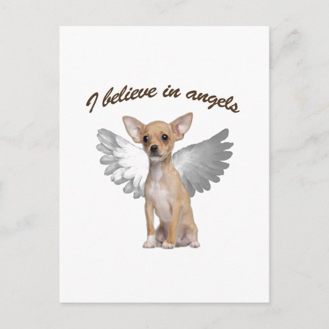 Angel Chihuahua Postcard (Front)