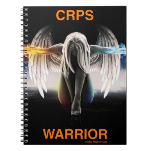 Angel...CRPS Notebook