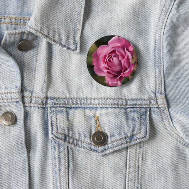 Angel Face Rose 2 Inch Round Button (In Situ)