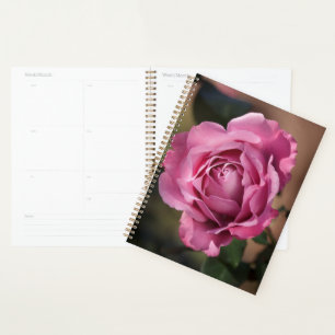 Angel Face Rose Planner