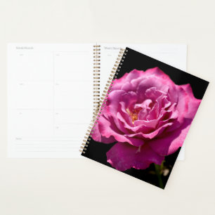 Angel Face Rose Up-Close Planner