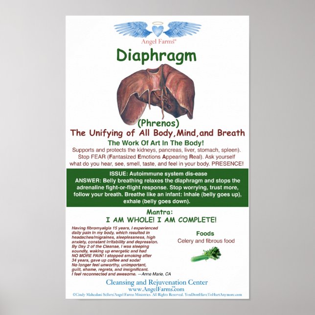 Angel Farms Diaphragm Chart (Front)