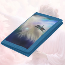 Angel Feather and  Dragonfly