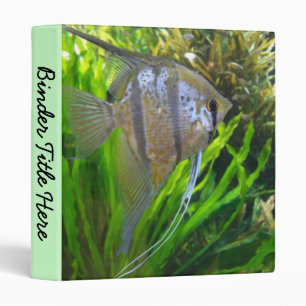 Angel Fish 1" Binder