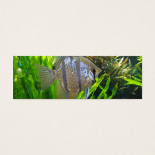 Angel Fish Bookmark