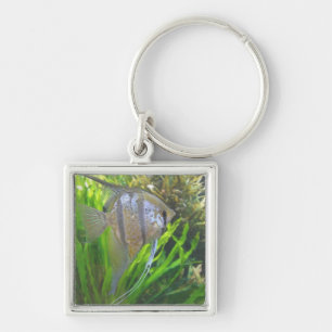 Angel Fish Keychain