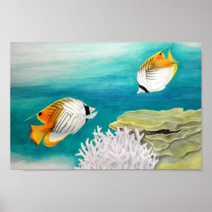 Angel fish poster
