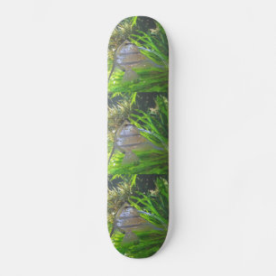 Angel Fish Skateboard