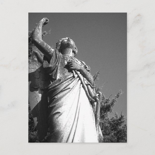 Angel in Black and White Postcard (Front)