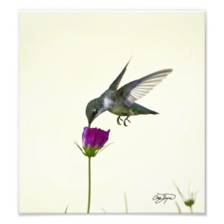 Angel in flight Photographic Art Photo Print