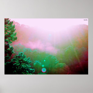 Angel Island Poster - X-Large (38" x 25.4")