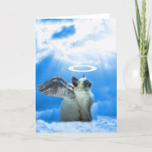 Angel Kitten Blank Note Card