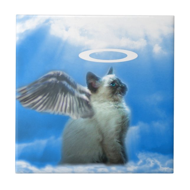 Angel Kitten Cat Tile (Front)