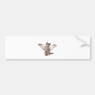 angel kitty bumper sticker