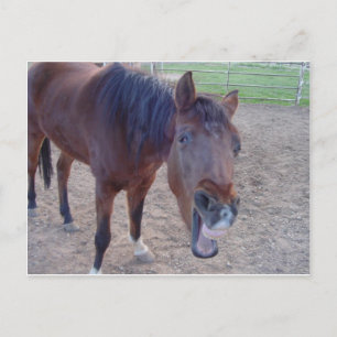 Angel Laugh Postcard