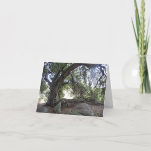 Angel Lights Card