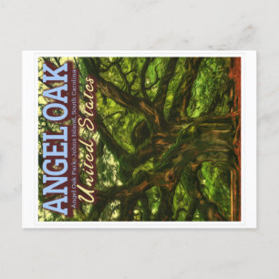 ANGEL OAK - CHARLESTON SOUTH CAROLINA US POSTCARD