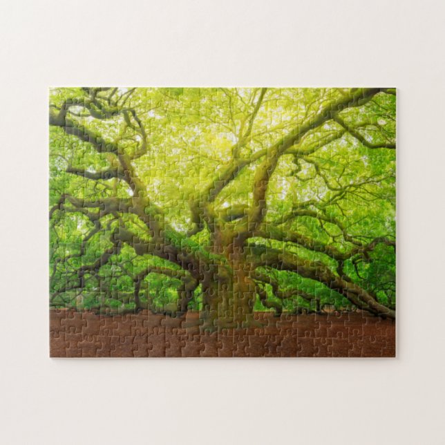Angel Oak Jigsaw Puzzle (Horizontal)