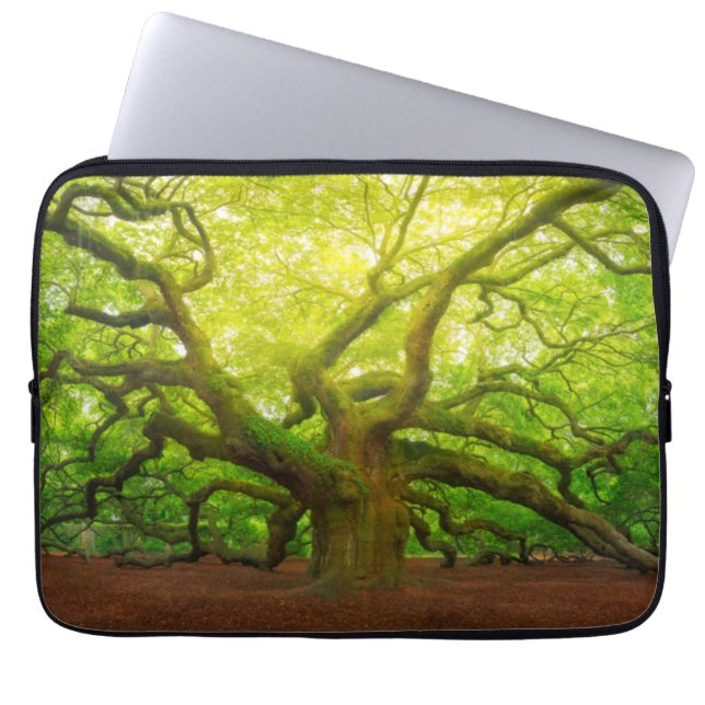 Angel Oak Laptop Sleeve (Front)