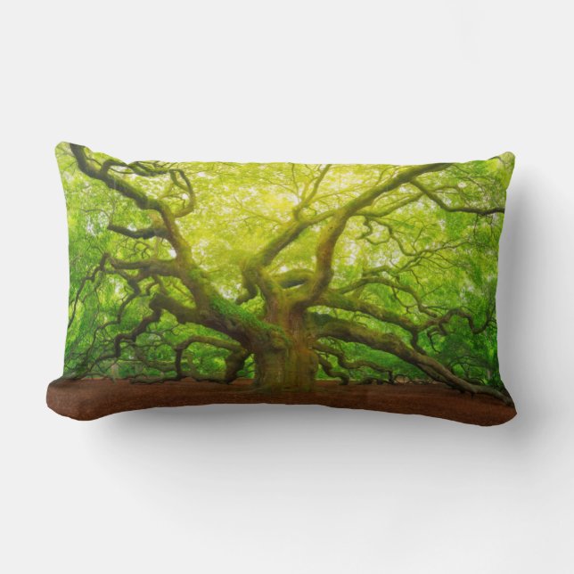 Angel Oak Lumbar Pillow (Front)