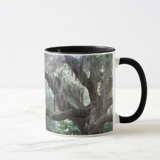 Angel Oak of Johns Island Mug
