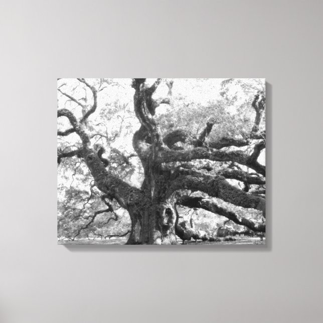 Angel Oak on canvas Print (Front)