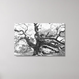 Angel Oak on canvas Print