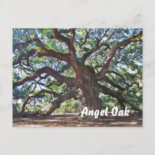 Angel Oak Postcard