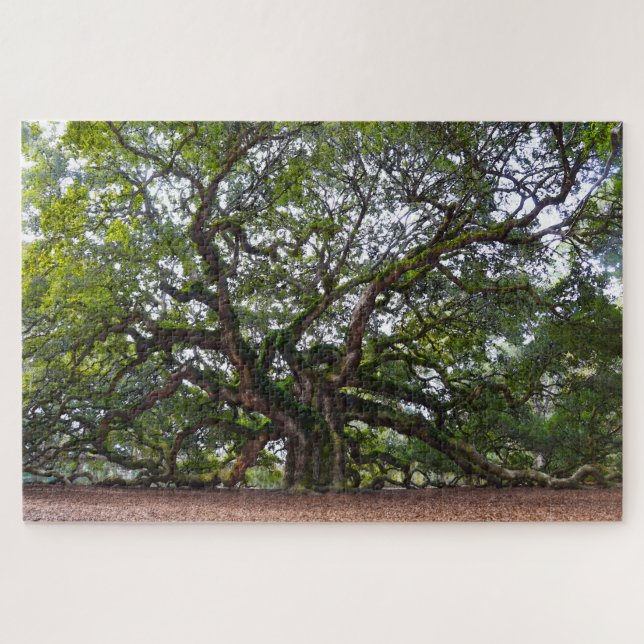 Angel Oak, South Carolina Jigsaw Puzzle (Horizontal)