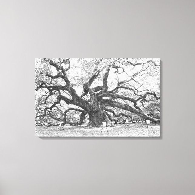 Angel Oak Tree Canvas Print (Front)