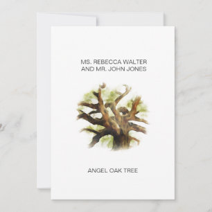 Angel Oak Tree - Charleston Holiday Card