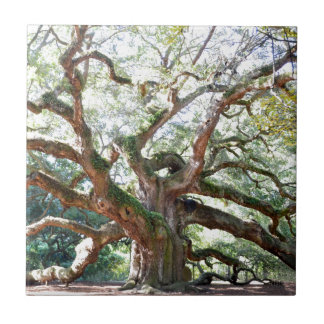 Angel Oak Tree Gifts Tile
