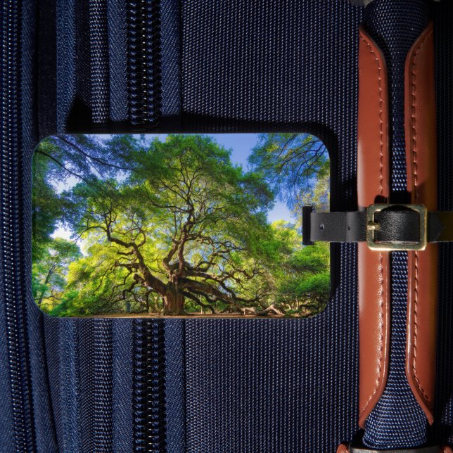 Angel Oak Tree Luggage Tag (Front Insitu 4)