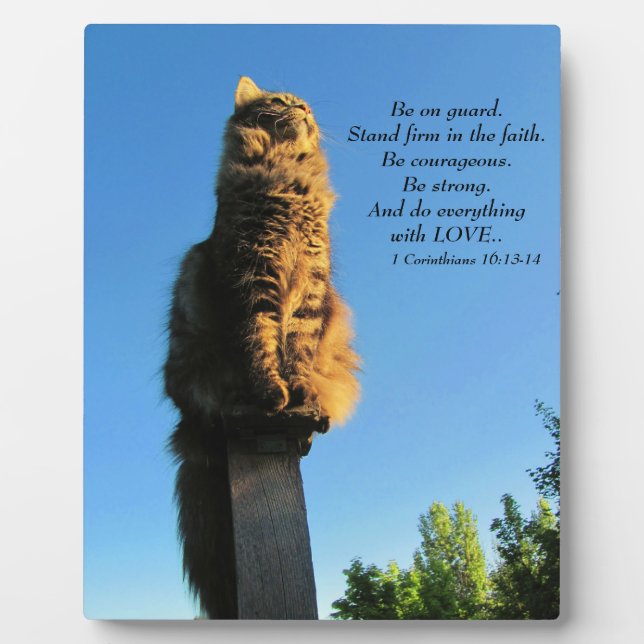 Angel on gaurd. plaque (Front)