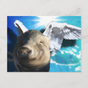 Angel Pig Postcard