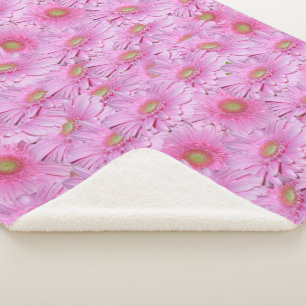 Angel Pink Gerbera Flowers, Large Sherpa Blanket