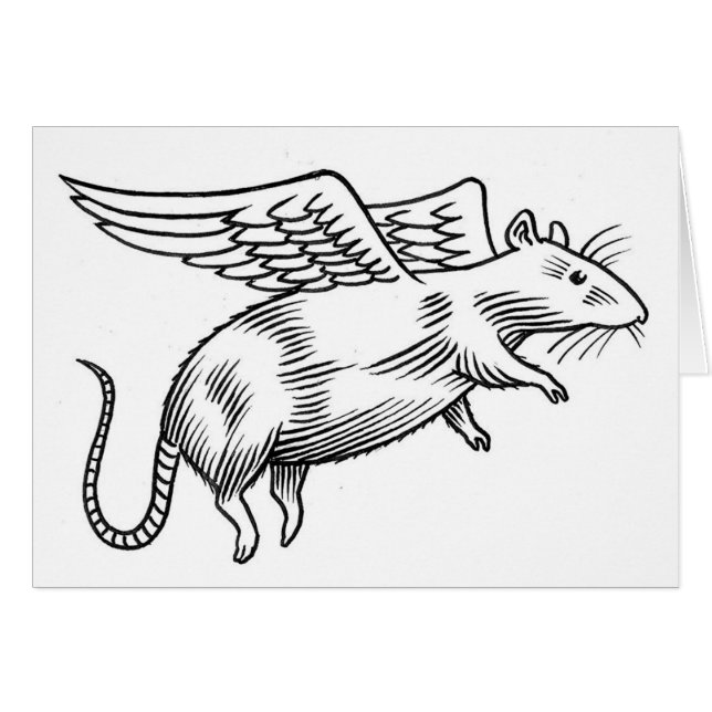 Angel rat (Front Horizontal)
